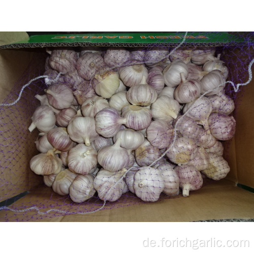 Lose Verpackung frischer neuer Knoblauch